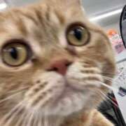 ヒメ日記 2026/03/26 17:01 投稿 由我/ゆいが・看板嬢候補 Muteki Platinum