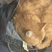 ヒメ日記 2026/03/29 13:05 投稿 由我/ゆいが・看板嬢候補 Muteki Platinum