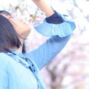 ヒメ日記 2026/04/01 08:01 投稿 由我/ゆいが・看板嬢候補 Muteki Platinum