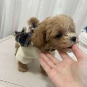 ヒメ日記 2026/01/09 07:11 投稿 姫咲りん Muteki Platinum