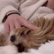 ヒメ日記 2026/02/23 19:51 投稿 姫咲りん Muteki Platinum