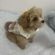 ヒメ日記 2026/02/28 19:41 投稿 姫咲りん Muteki Platinum