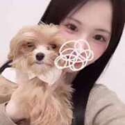 ヒメ日記 2026/03/03 03:21 投稿 姫咲りん Muteki Platinum