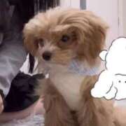 ヒメ日記 2026/03/04 18:02 投稿 姫咲りん Muteki Platinum