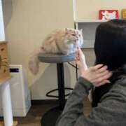 ヒメ日記 2026/03/07 00:16 投稿 姫咲りん Muteki Platinum