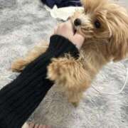 ヒメ日記 2026/03/18 14:02 投稿 姫咲りん Muteki Platinum