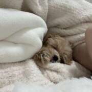 ヒメ日記 2026/03/22 17:42 投稿 姫咲りん Muteki Platinum