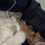 ヒメ日記 2026/03/25 09:51 投稿 姫咲りん Muteki Platinum