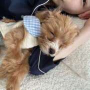 ヒメ日記 2026/04/03 17:52 投稿 姫咲りん Muteki Platinum