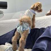 ヒメ日記 2026/04/05 22:44 投稿 姫咲りん Muteki Platinum