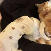 ヒメ日記 2026/04/10 04:01 投稿 姫咲りん Muteki Platinum