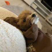 ヒメ日記 2026/04/12 23:21 投稿 姫咲りん Muteki Platinum