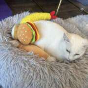 ヒメ日記 2026/04/18 16:11 投稿 姫咲りん Muteki Platinum