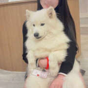 ヒメ日記 2026/01/22 13:41 投稿 Meru/める Muteki Platinum