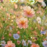 ヒメ日記 2026/04/27 14:42 投稿 ゆら 即イキ淫乱倶楽部 松戸店