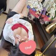 ヒメ日記 2025/12/19 12:03 投稿 菅野　みや スタイリッシュ秘書