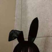 ヒメ日記 2025/12/23 07:50 投稿 ユニ いたずらバニーちゃん