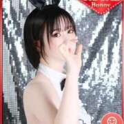 ヒメ日記 2026/01/04 01:20 投稿 ユニ いたずらバニーちゃん