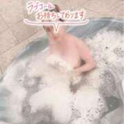 ヒメ日記 2026/04/02 09:02 投稿 長谷川-はせがわ- ただ離婚してないだけ堺東店