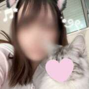 ヒメ日記 2026/01/01 23:23 投稿 ユユ PLATINUM