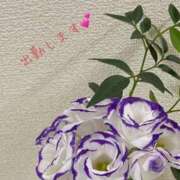 ヒメ日記 2025/12/08 08:28 投稿 いおな 奥様はエンジェル　立川店