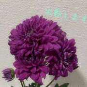 ヒメ日記 2025/12/29 08:38 投稿 いおな 奥様はエンジェル　立川店