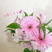 ヒメ日記 2026/02/14 01:30 投稿 いおな 奥様はエンジェル　立川店