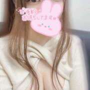 ヒメ日記 2025/12/04 06:05 投稿 りりか★S級才色兼備丸の内OL Bell～S級美女お姉様・人妻デリヘル～