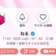 ヒメ日記 2026/02/11 12:03 投稿 ねる 萌えカワ