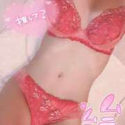 ヒメ日記 2026/02/12 21:42 投稿 ねる 萌えカワ