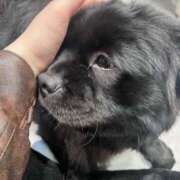 ヒメ日記 2026/02/24 22:37 投稿 もこ チェックイン横浜女学園