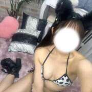 もぐもぐ グランド710号室のお兄さんへ💌 にゃんだ☆full☆MIX（にゃんだふるみっくす）