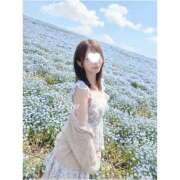 ヒメ日記 2026/05/16 09:17 投稿 せな Anemone渋谷店