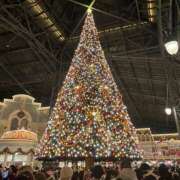 ふゆ【男が求める清楚】 います♡ STELLA TOKYO－ステラトウキョウ－