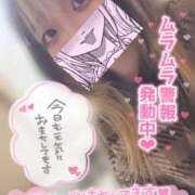 ヒメ日記 2025/12/27 11:49 投稿 うた スピードエコ日本橋店