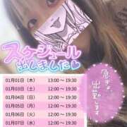 ヒメ日記 2025/12/31 19:59 投稿 うた スピードエコ日本橋店