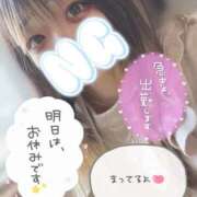 ヒメ日記 2026/03/04 13:19 投稿 うた スピードエコ日本橋店