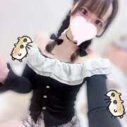 ヒメ日記 2025/12/23 15:03 投稿 キララ RING