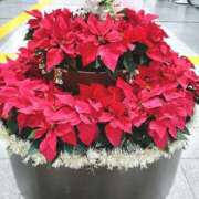 ヒメ日記 2025/12/04 05:02 投稿 御影【みかげ】 丸妻 西船橋店