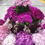 ヒメ日記 2026/03/06 13:29 投稿 御影【みかげ】 丸妻 西船橋店