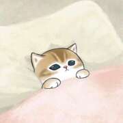 ヒメ日記 2026/01/10 10:40 投稿 白咲 みう アリス女学院 日本橋校