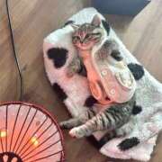 瞳りん 出勤しました🐈 禁断のメンズエステR-18堺・南大阪店