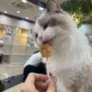 ヒメ日記 2025/12/11 02:34 投稿 瞳りん 禁断のメンズエステR-18堺・南大阪店