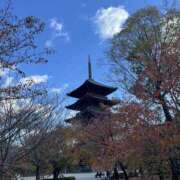 ヒメ日記 2025/12/21 02:44 投稿 瞳りん 禁断のメンズエステR-18堺・南大阪店