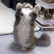 瞳りん お礼日記☆彡 禁断のメンズエステR-18堺・南大阪店