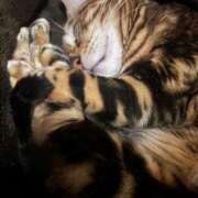 ヒメ日記 2025/12/05 06:34 投稿 ましろ ROYAL FACE FUKUOKA