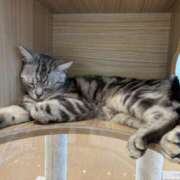 大塚　あや 本日出勤します😳 Eureka！EGOIST～エゴイスト～-美とエロスの饗宴