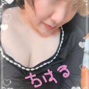 ヒメ日記 2025/12/25 16:01 投稿 ちはる 石川金沢ちゃんこ