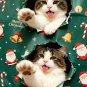 ヒメ日記 2025/12/24 03:15 投稿 まゆか LEVEL1