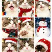 ヒメ日記 2025/12/24 21:01 投稿 まゆか LEVEL1